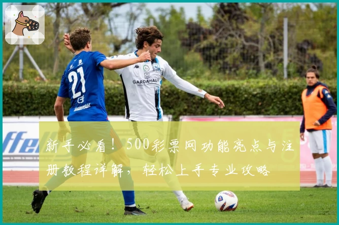 新手必看！500彩票网功能亮点与注册教程详解，轻松上手专业攻略