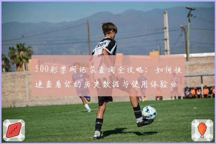 500彩票网记录查询全攻略：如何快速查看你的历史数据与使用体验分析