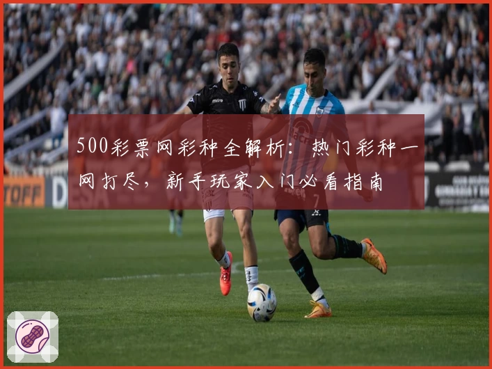 500彩票网彩种全解析：热门彩种一网打尽，新手玩家入门必看指南